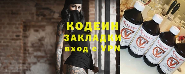хмурый Гусь-Хрустальный