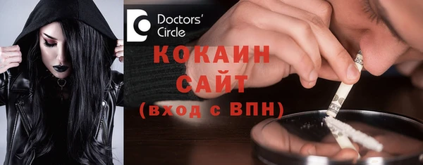 мдпв Горнозаводск