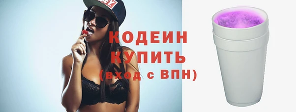 хмурый Гусь-Хрустальный