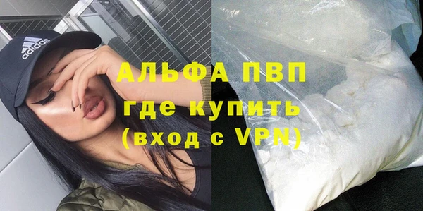 хмурый Гусь-Хрустальный