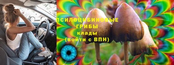 хмурый Гусь-Хрустальный