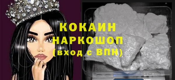 хмурый Гусь-Хрустальный