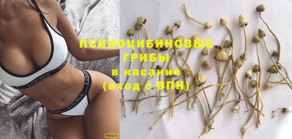 хмурый Гусь-Хрустальный